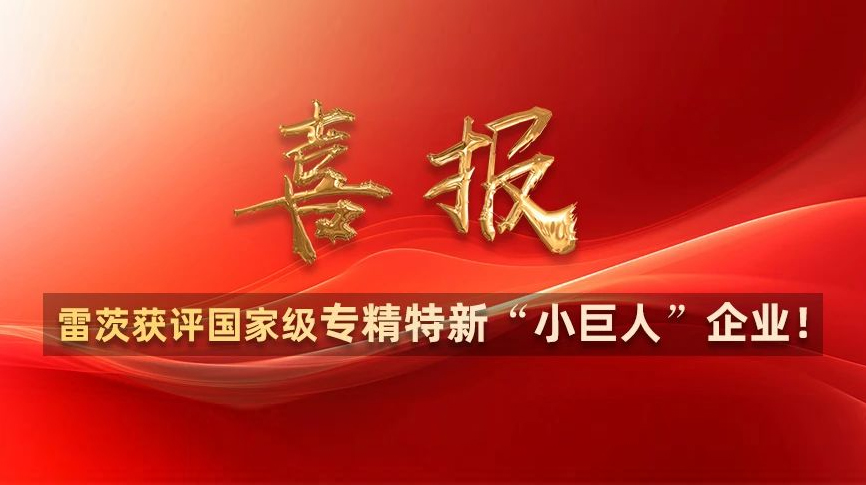 喜報：雷茨獲評國家級專精特新“小巨人”企業(yè)！